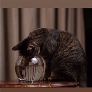 Meet your Posher, Anita